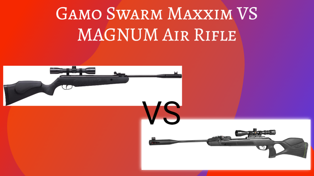 Gamo Swarm Maxxim vs Magnum Air Rifle 1