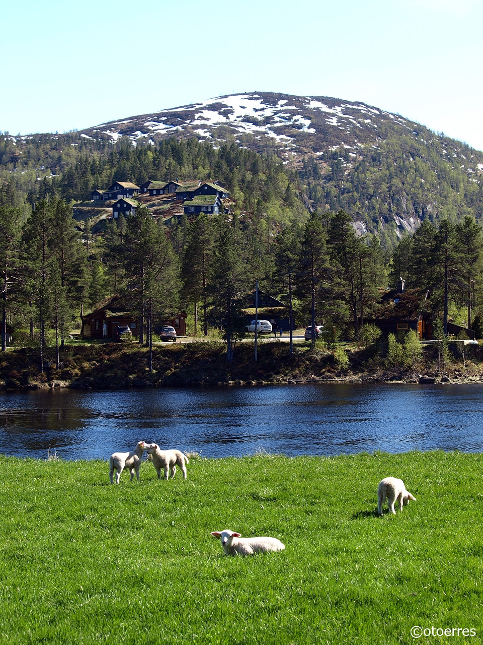 Saganeset - Solheimsdalen - Tjørhom - Sirdal - Agder
