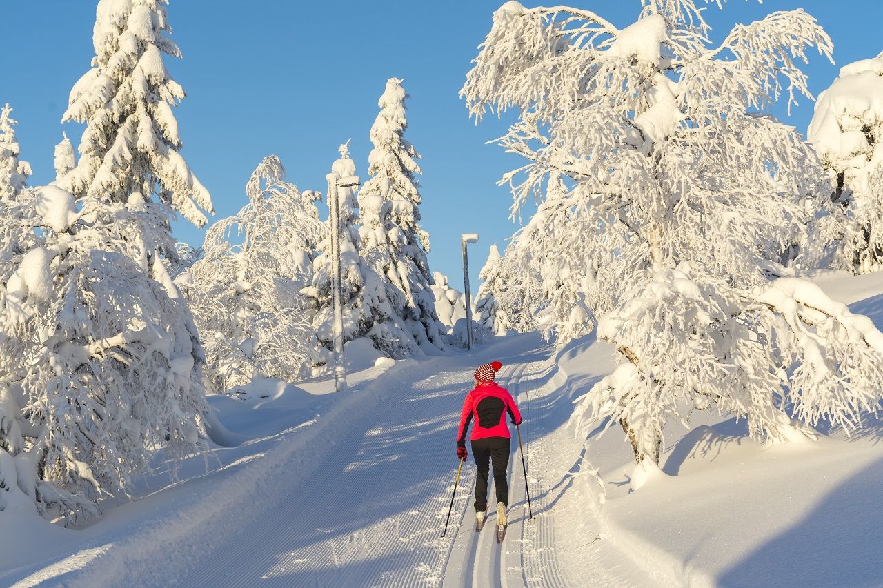 Kvinnelig skiløper - Snø - Langrennsløype - Finland
