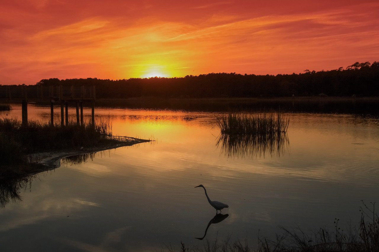 Solnedgang - Fuglereservat - Våtmark - Huntington Marsh - Huntington Beach State Park - Sør-Carolina - USA