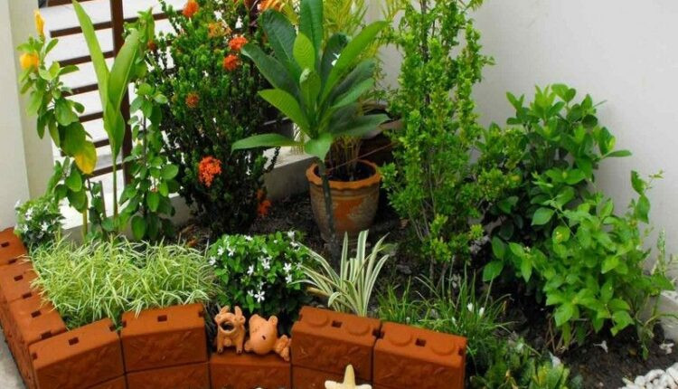 23 Inspirasi Ide Taman Kecil Yang Kreatif