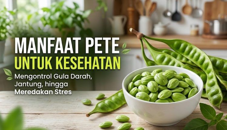 Temukan beragam manfaat pete untuk kesehatan, mulai dari mengontrol gula darah, menurunkan kolesterol, menjaga kesehatan lambung, hingga meredakan stres.