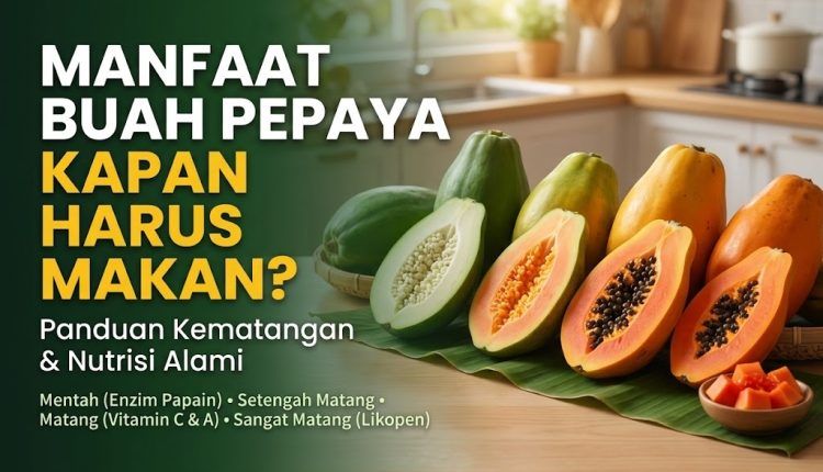 Manfaat Buah Pepaya: Panduan Tingkat Kematangan dan Kandungan Nutrisi Alami untuk Kesehatan Tubuh