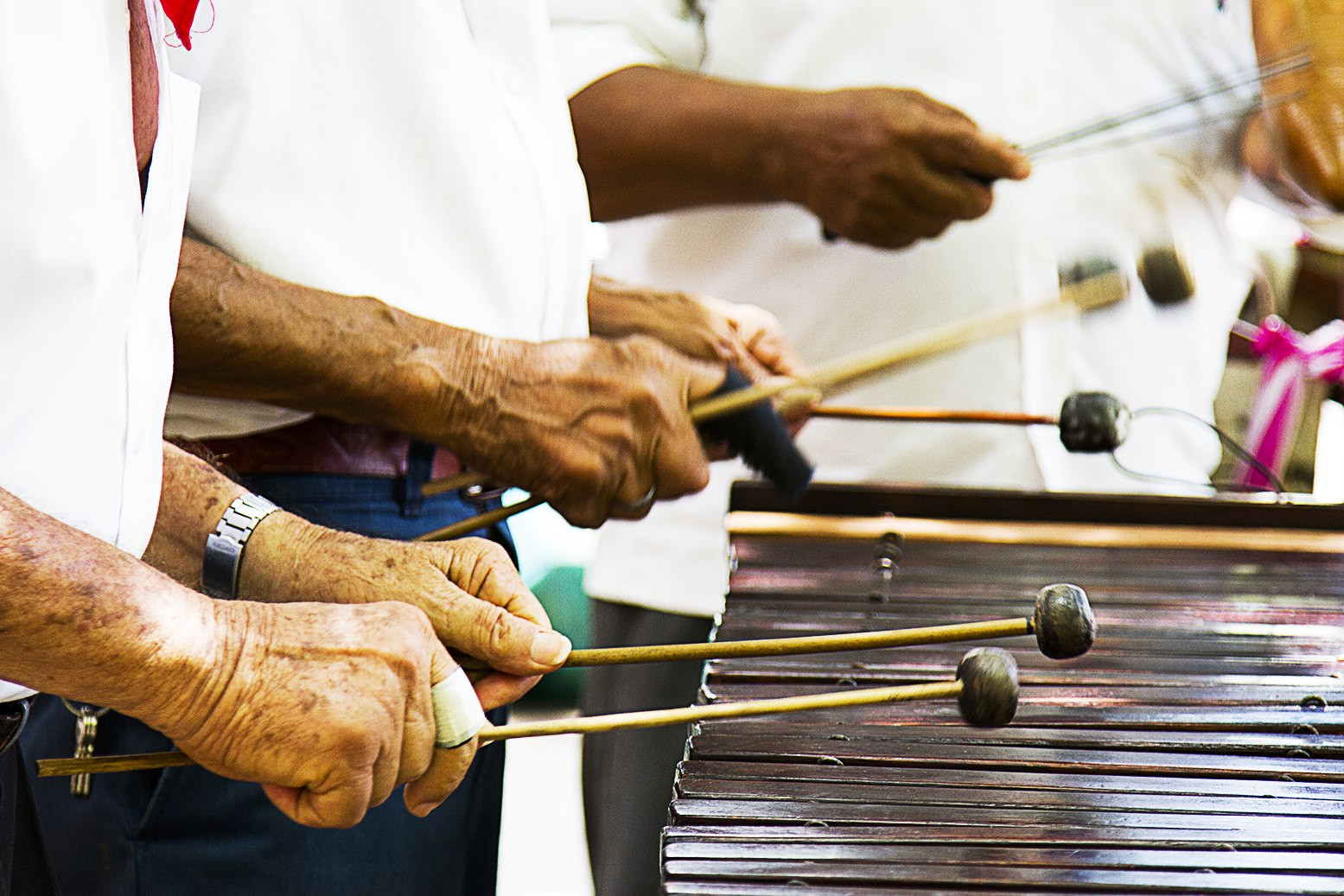 Santa Cruz Sets Up ThreeDay Marimba Music Festival
